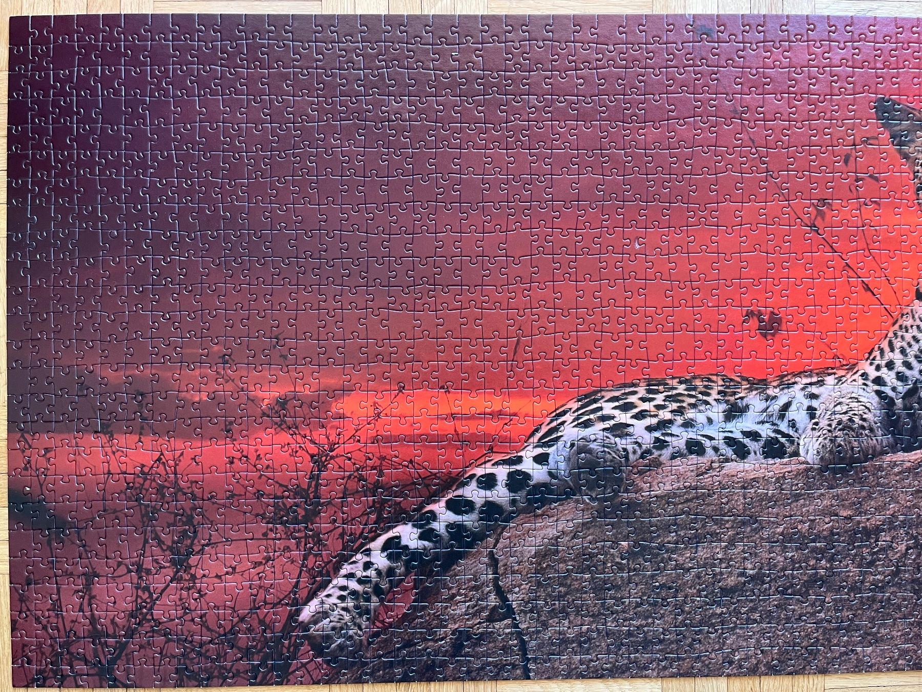 Heye Puzzle: Panorama Puzzle Leopard 2000 Teile - Edition Humboldt – Usato da Zürich venduto da Gurkis 3