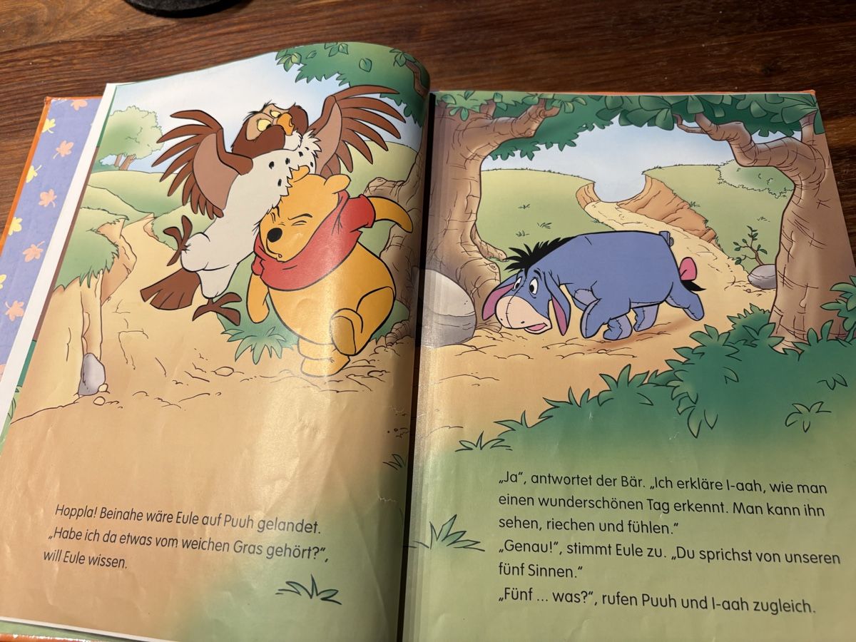 Libri: Kinderbuch: Winnie Puuh - Ein wunderschöner Tag, Top! 49 – Usato da Beromünster venduto da msklef 4