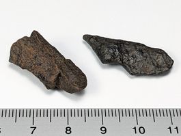 NWA Meteorit 2Stk. 26 und 30mm 6 Gramm
