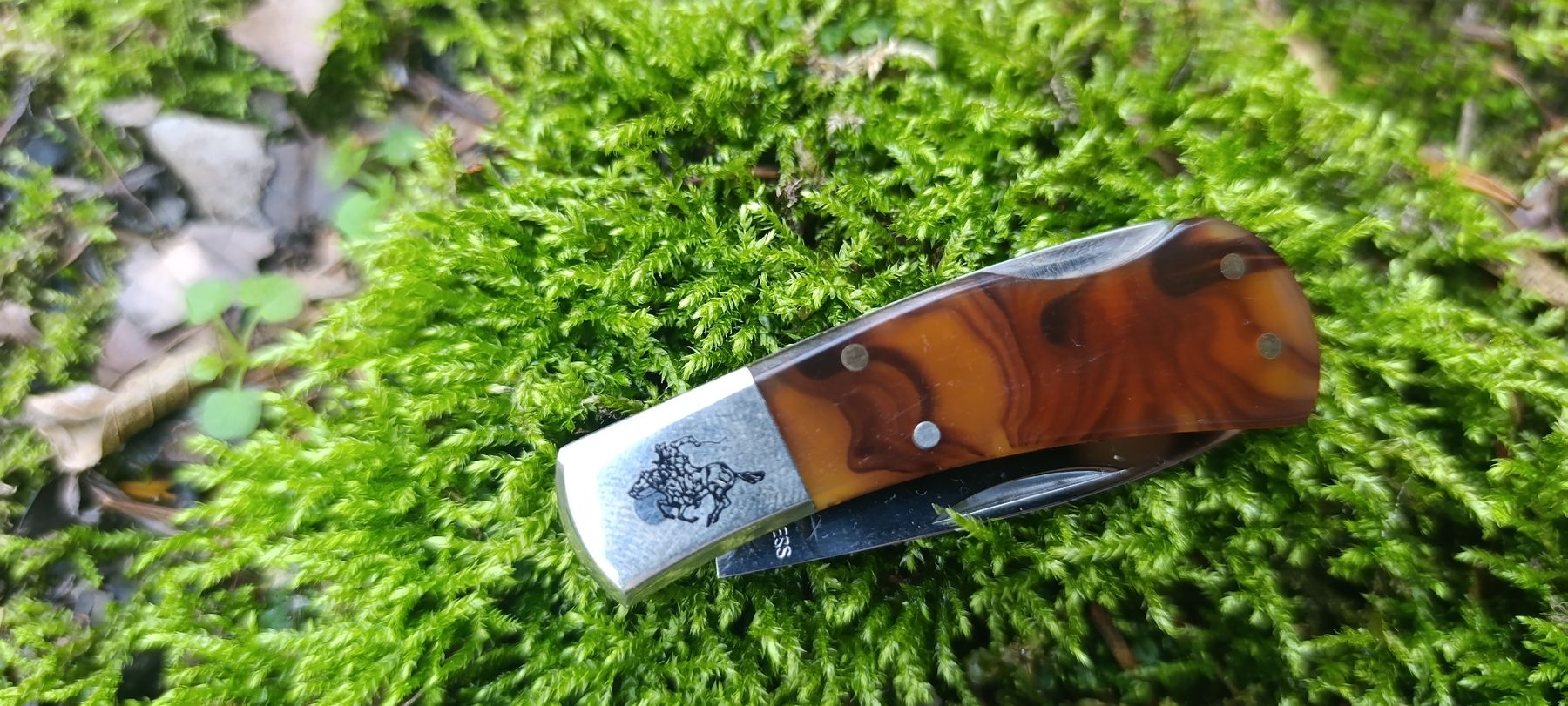 Winchester Taschenmesser: Winchester Taschenmesser  – Neu und originalverpackt aus Oppligen von can_rf8g 1