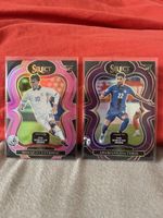 Panini Select Road to FIFA World Cup 2026, Cvetlovic, Cerin