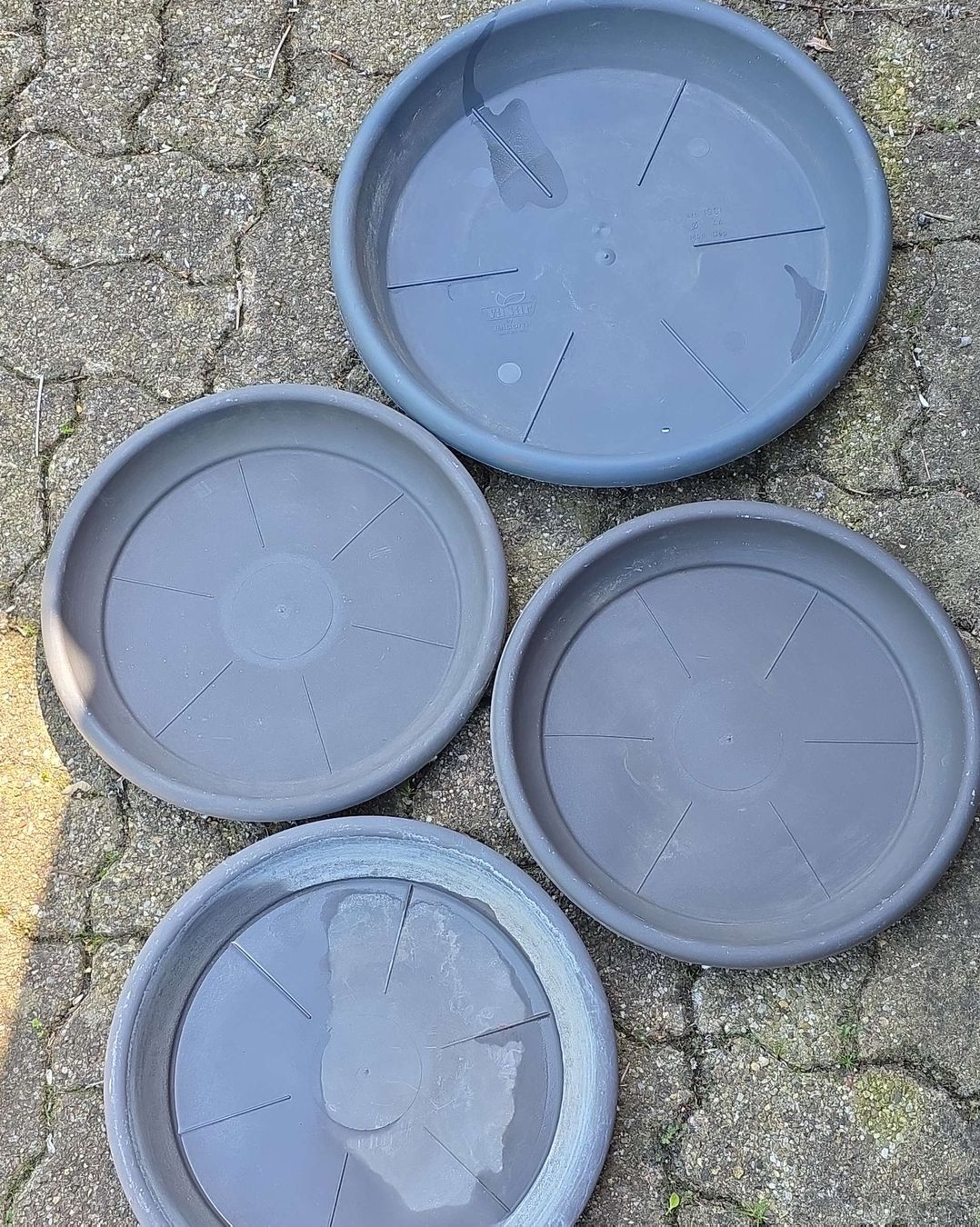 Vasi per fiori: 4 Gray plant pot saucers.  – Usato da Hinwil venduto da Ehretstock8
