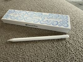 Apple Pencil Pro neuwertig