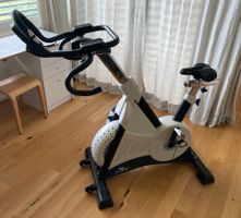 Crane Indoor Bike weiss