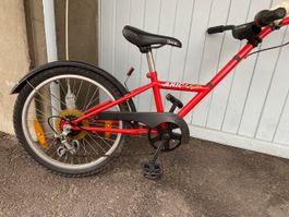 Trailerbike / Schattenvelo