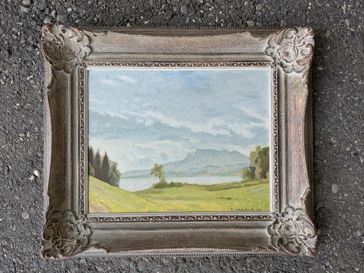 Tableaux: 2 prächtige alte Landschaftsölgemälde, Rudolf Urech – D'occasion à Rünenberg par Fendi02 1