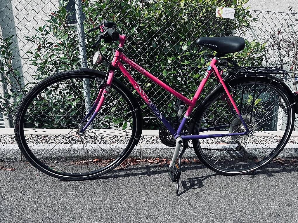 Biciclette: Alpina Damenvelo – Usato da Walchwil venduto da big_fq8d 1