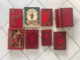 Lot de livres anciens de collection XIXe Dumas, La Fontaine 