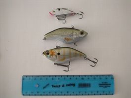 Lipless Crankbait Set (2x Spro, 1x aus Bass Pro Shop)