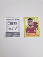 Panini Sticker QAT9