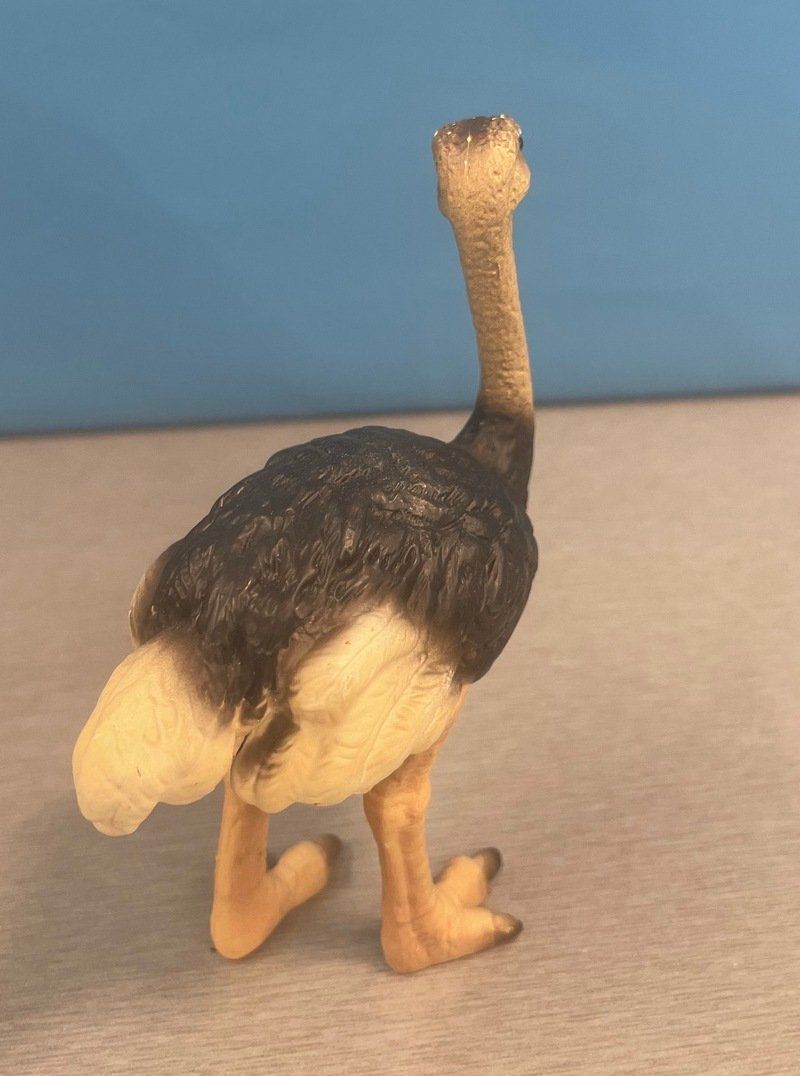 Schleich Spielzeuge: Schleich Strauss – Gebraucht aus Sirnach von sagrotin 3