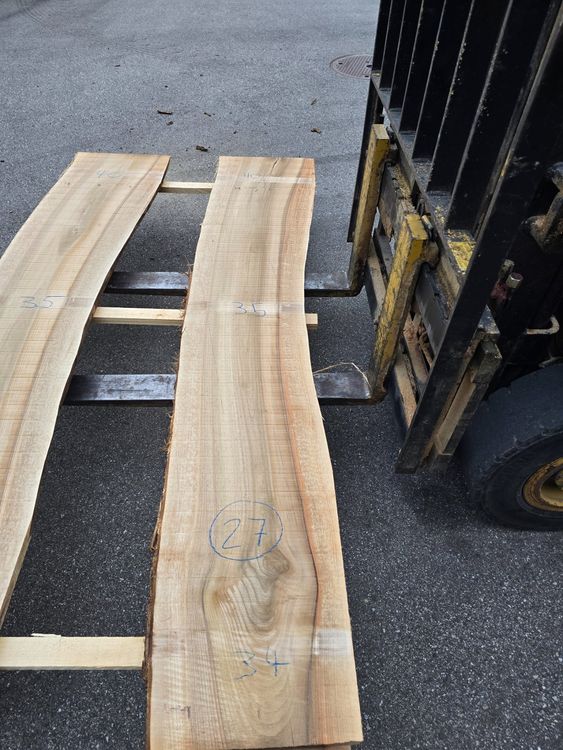 Articoli in legno: Nussbaumbrett Nr 27 – Nuovo (secondo la descrizione) da Lützelflüh-Goldb venduto da Waelchris