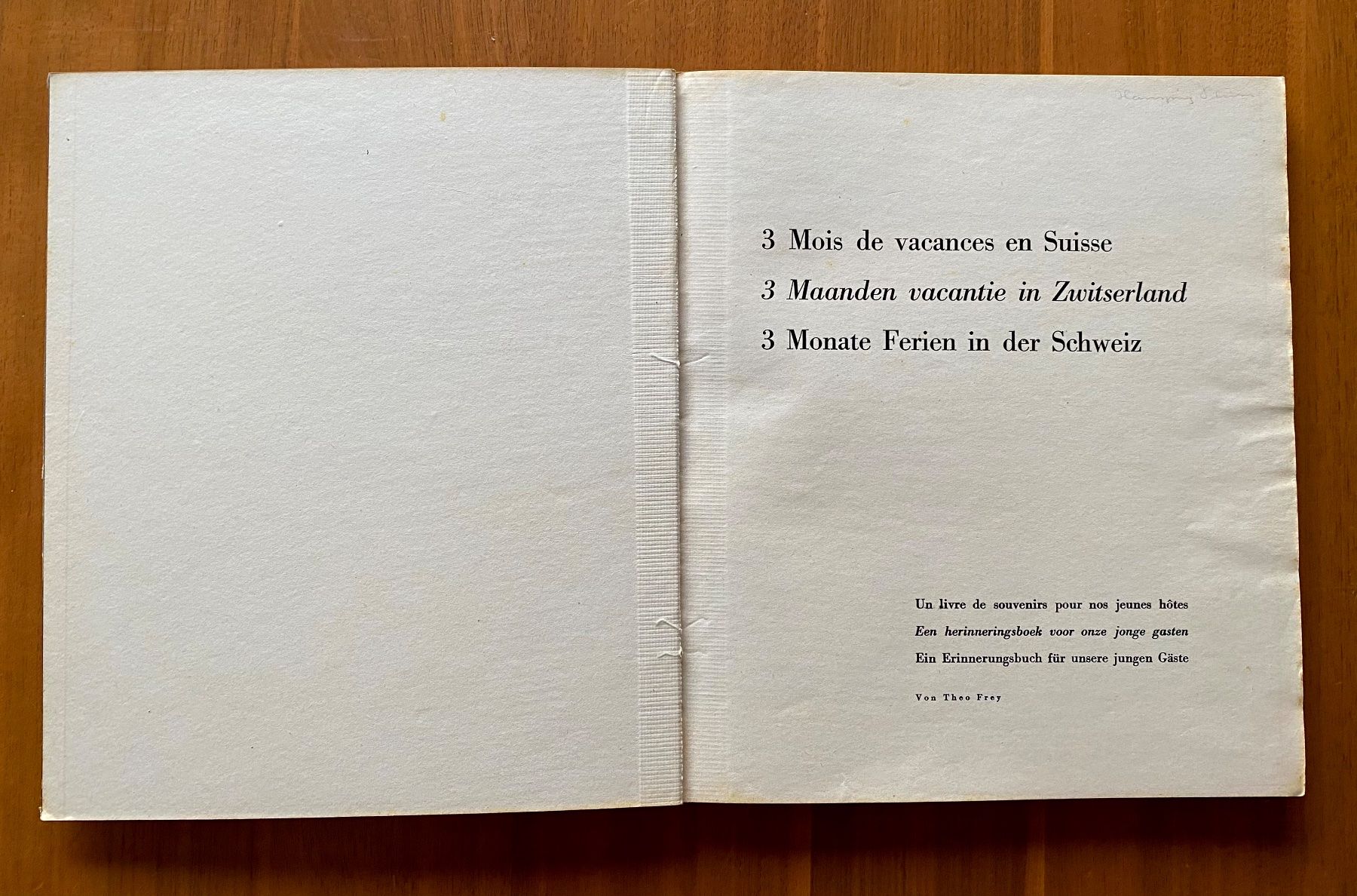 Libri: 3 Monate Ferien in der Schweiz – Usato da Nussbaumen AG venduto da schuba2000 2