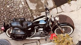 Harley Davidson XL 1200 Sportster Custom