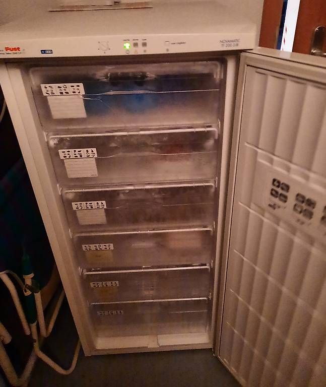 Congelatori: GRANDE CONGELATORE COME NUOVO  – Usato da Giubiasco venduto da risi012 4