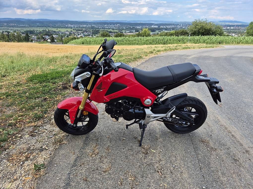 Honda Strada: Honda Grom / MSX 125 – Usato da Kreuzlingen venduto da let_nxl5 4