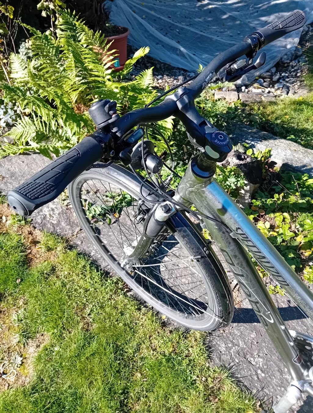 Specialized Biciclette: SPECIALIZED Globe SERVICED & Ready 28" wheels 50cm Frame – Usato da Bern venduto da This_that_other_all 4