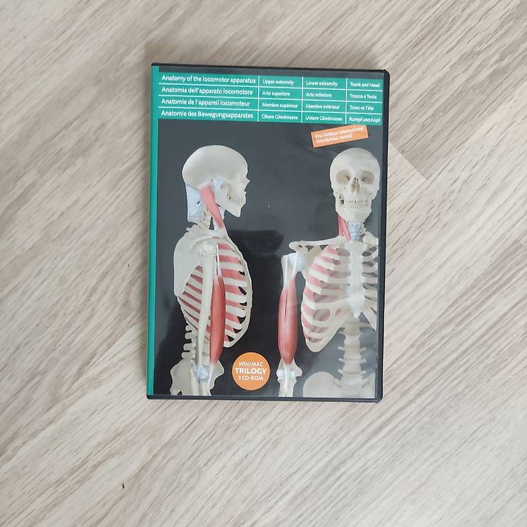 Bücher: Diverse Bücher Fitness/Muskeln Bewegung und Gesundheit – Gebraucht aus Frick von fendiartax 1
