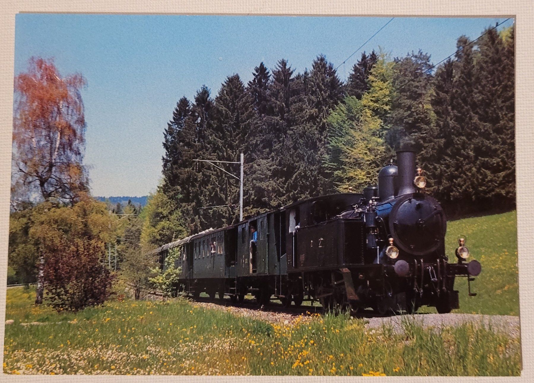 Ansichtskarten: DVZO-DAMPFZUG / TRAIN À VAPEUR DVZO – Neu (gemäss Beschreibung) aus Neftenbach von Mador6