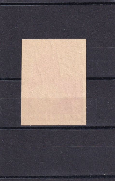 Tutti i francobolli: Territorial-Truppen Ter.Bat.174: Nr. 339c, grüner Helm – Nuovo (secondo la descrizione) da Birsfelden venduto da Sakurajima 1