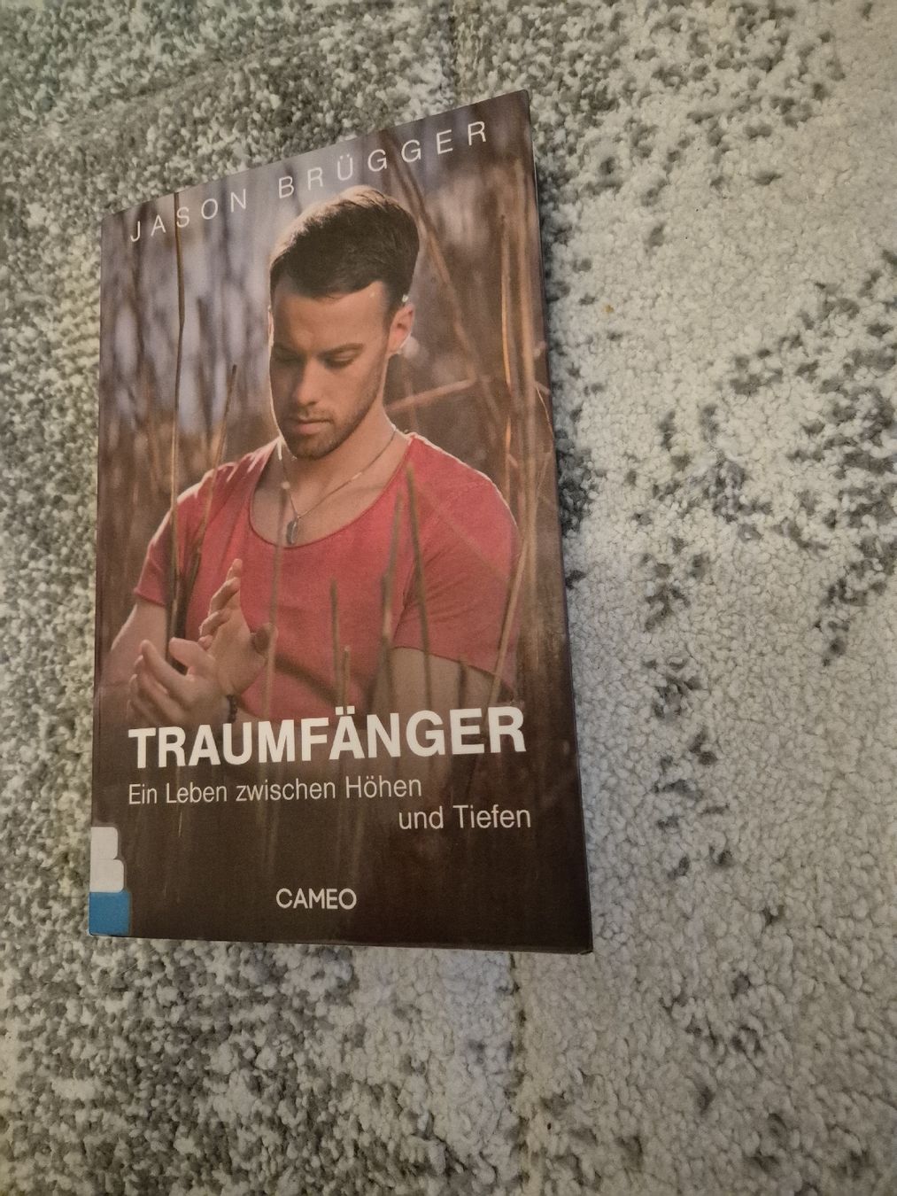 Libri: Buch von Jason Brügger/Traumfänger – Usato da Greifensee venduto da Angela120