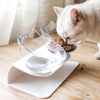 📌 Doppelte Schüssel rutschfest Katze Hund