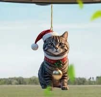 2-D ACRYL ANHÄNGER F. TASCHE, AUTO *WEIHNACHTS KÄTZLI*