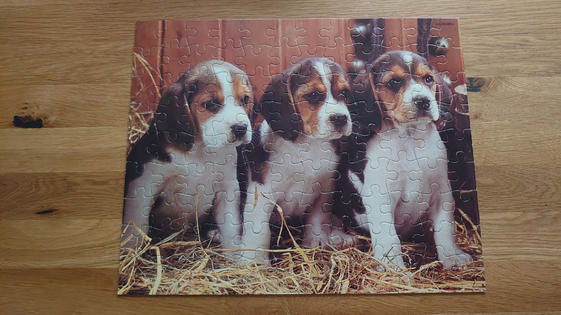 Puzzle: 100er Puzzle – Usato da Pfäffikon SZ venduto da Wild0 2