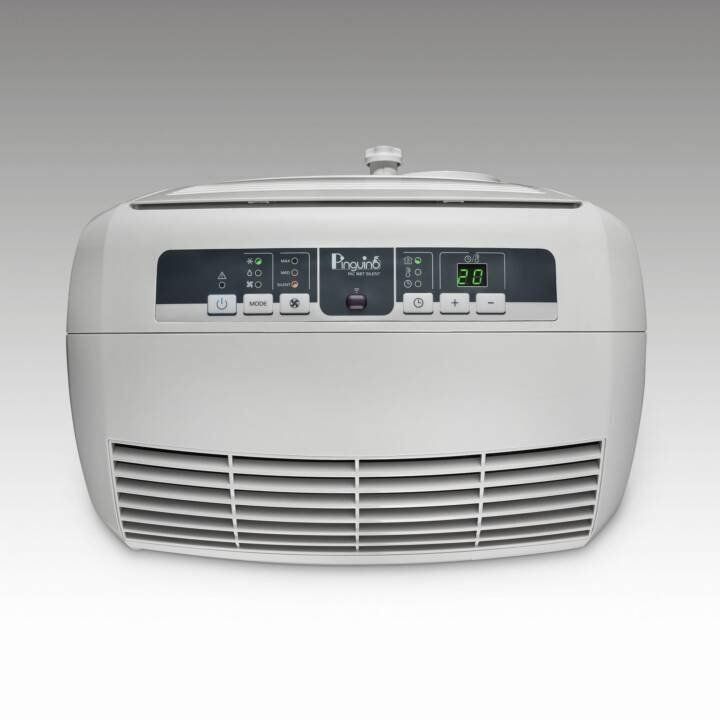 DELONGHI Pinguino PAC N90 ECO Silent 2