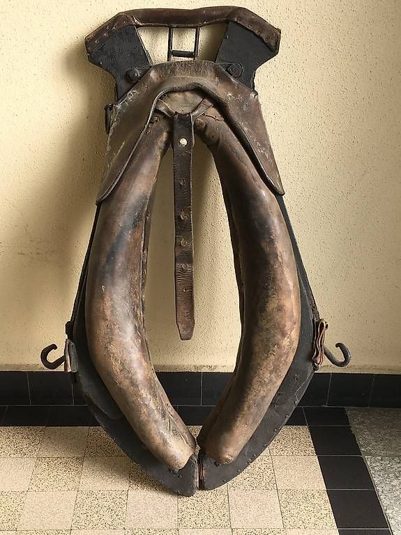 Altro in Accessori per animali: Collier ancien pour cheval – Usato da Lausanne venduto da fra_r7fh 1