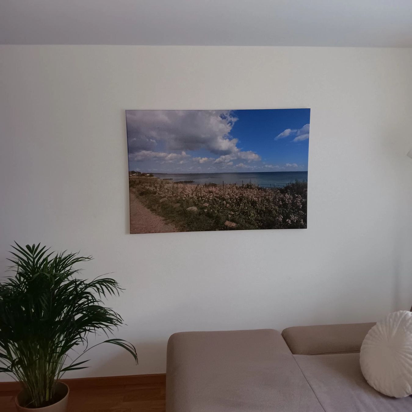 Foto & Immagini: Bild – Usato da Höri venduto da maag65 2
