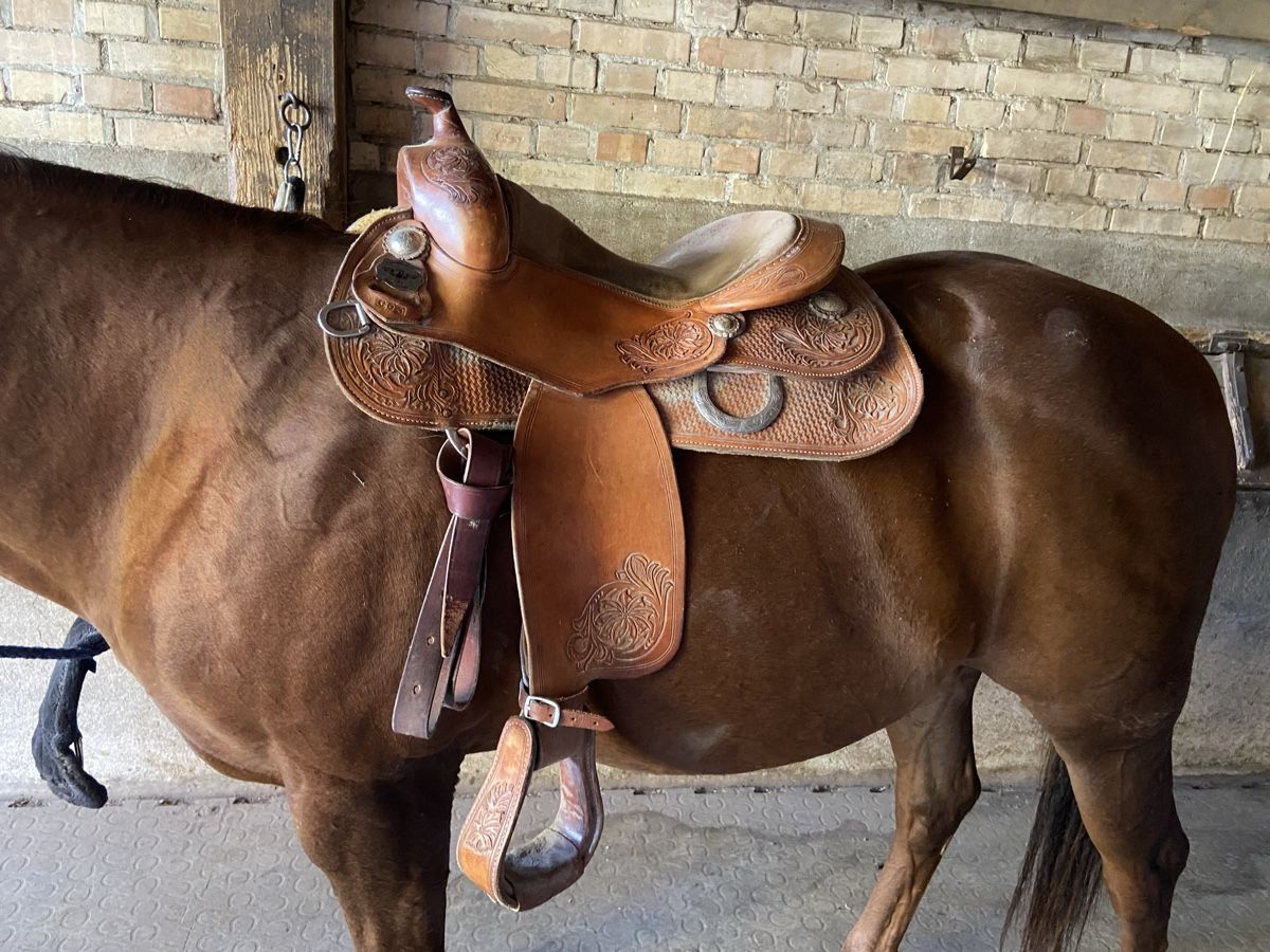 Selle & Accessori: Westernsattel – Usato da Stäfa venduto da RAS12