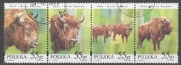 POLEN - Zubr. BISON BONASUS - 4 ZUSAMMENHÄNGEND   (30