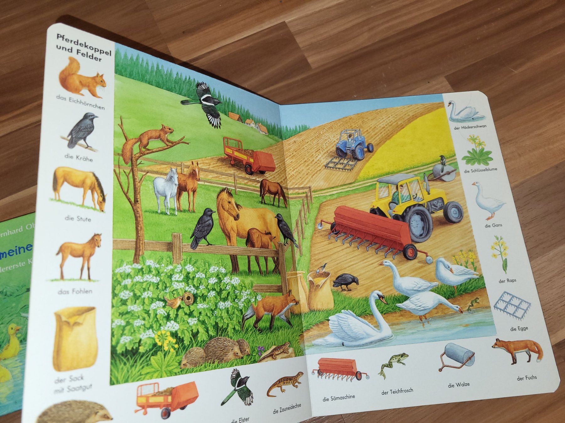 Libri: Bilderwörterbich Rund um den Bauernhof – Nuovo (secondo la descrizione) da Schwarzenburg venduto da Flamingo07 1