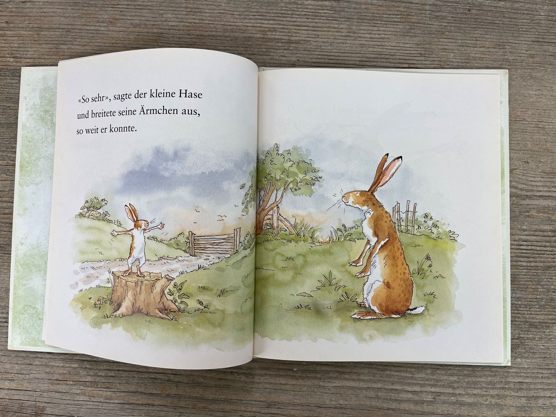 Libri: Weisst du eigentlich, wie lieb ich dich hab? Copyright 1994 – Usato da Pfäffikon ZH venduto da buresi 2