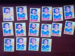 Stickers Panini World Cup 2026 Team BIH 