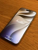 WIE NEU Apple iPhone 16 Pro Max 256GB Natural Titanium