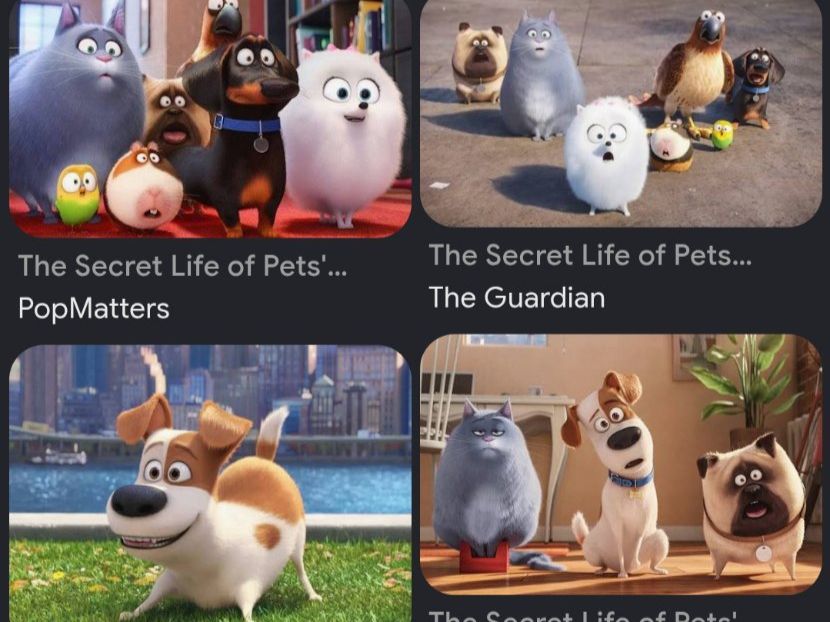 Disney Giocattoli: Peluche chien Gidget film Pets – Nuovo (secondo la descrizione) da La Chaux-de-Fonds venduto da kellina 3