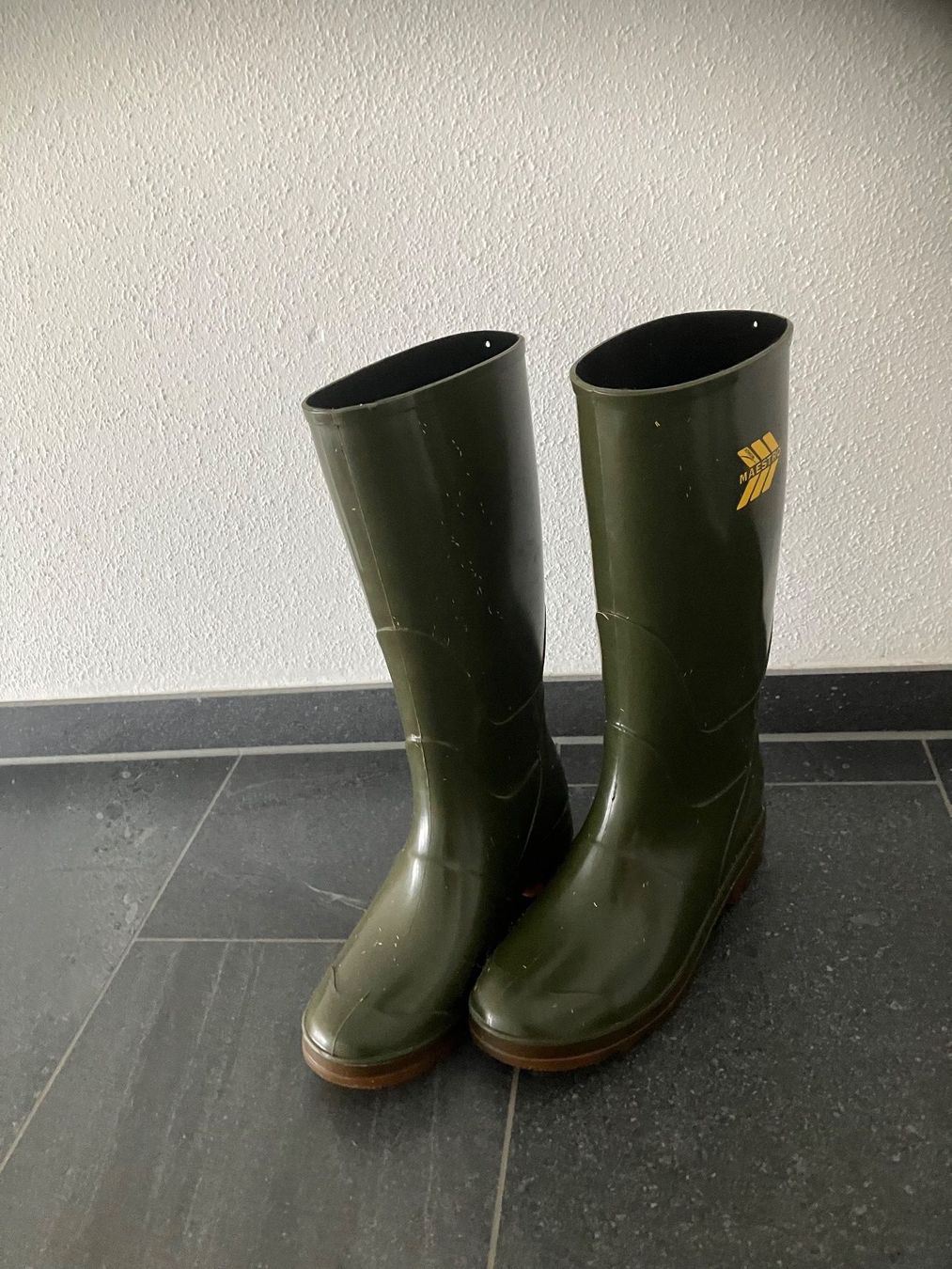 Scarpe da uomo: Arbeitskleidung Stall Stiefel Gr.43 – Usato da Bettwiesen venduto da Zustand57