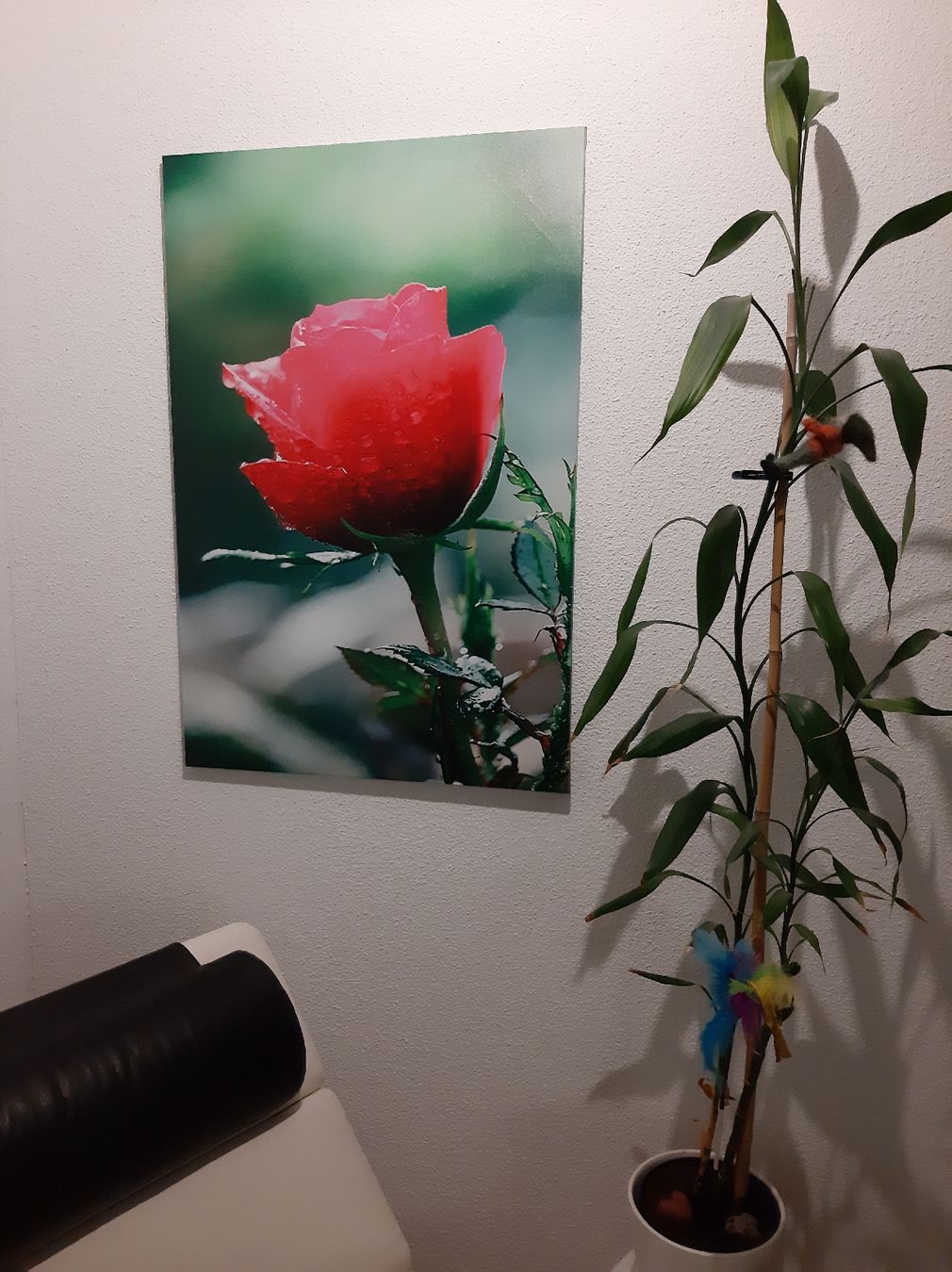 Foto & Immagini: Neues Leinwandbild, 60x90cm. originalverpackt – Nuovo e nell'imballaggio originale da Hochdorf venduto da Amazone0 1