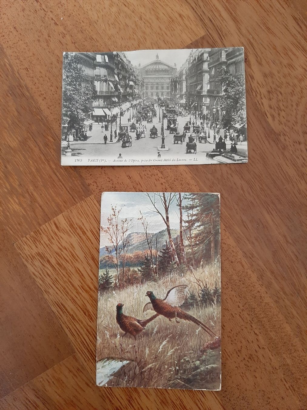 Cartes postales: Original Postkarten 1911/1909 "Paris" und "Fasane", mit slow – D'occasion à Wil SG par effata_344