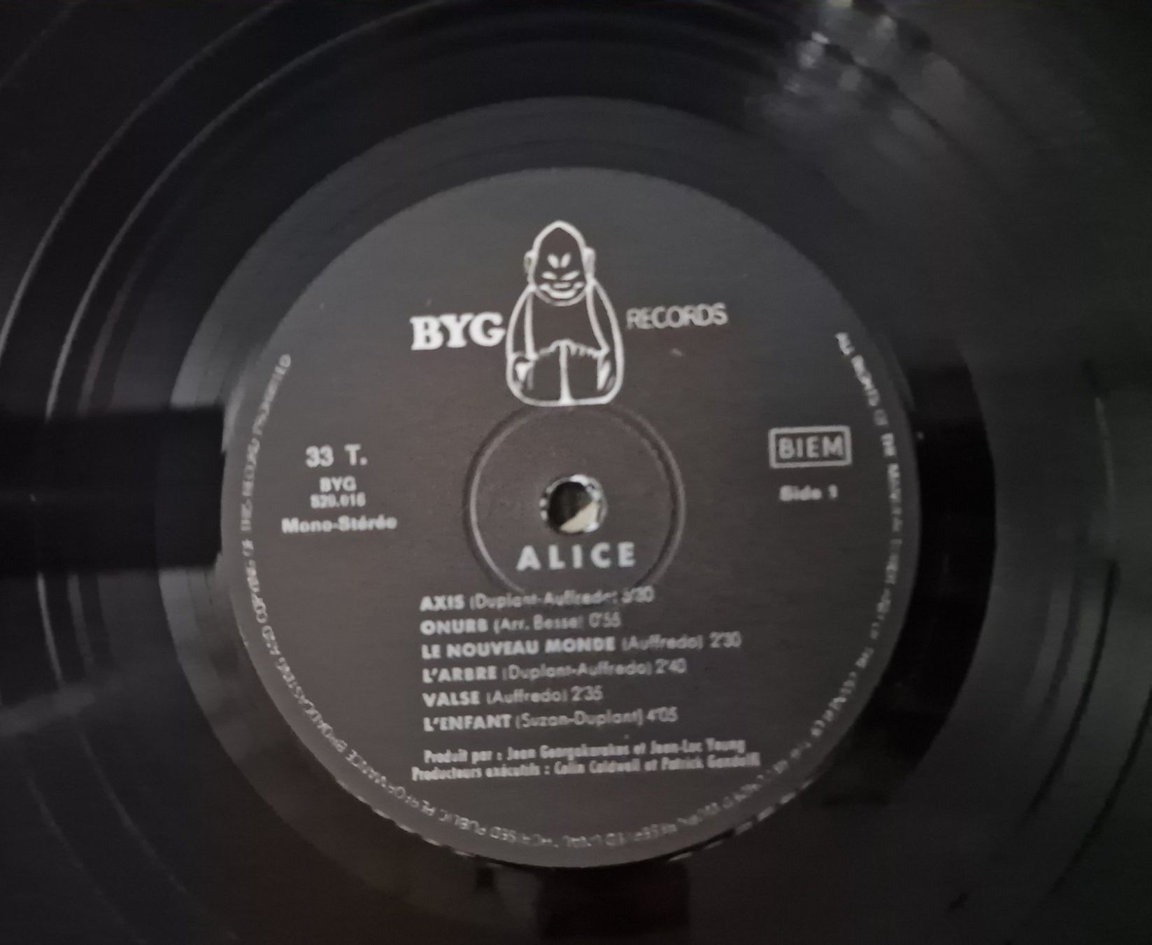 Dischi in vinile: Alice LP – Alice – Usato da Root venduto da atelier22 3