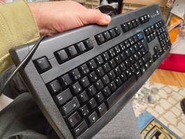 Logitech De Luxe 250 Keyboard Tastatur QWERTZ-Layout