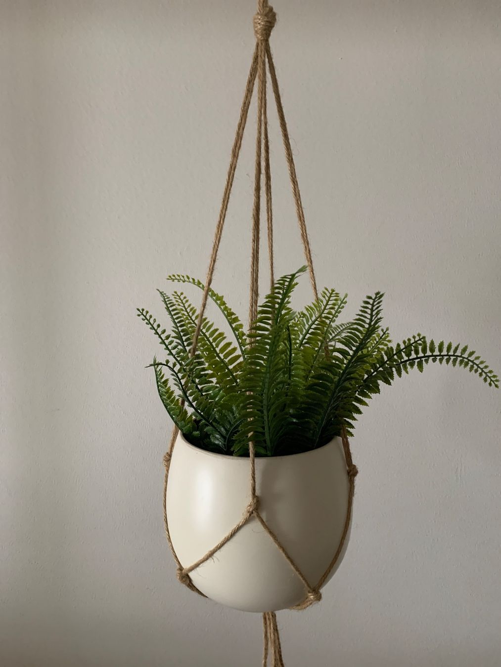 Piante & sementi: Boho Pflanzenhänger Makrame Blumentopf Pflanze – Nuovo (secondo la descrizione) da Adliswil venduto da wenk09