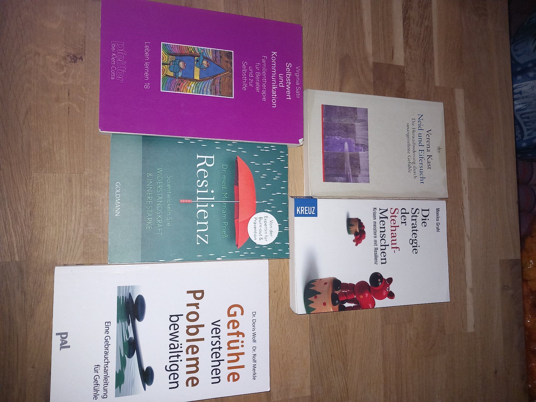 Libri: 5 Bücher Resilienz, etc – Usato da Maschwanden venduto da summernight7 2