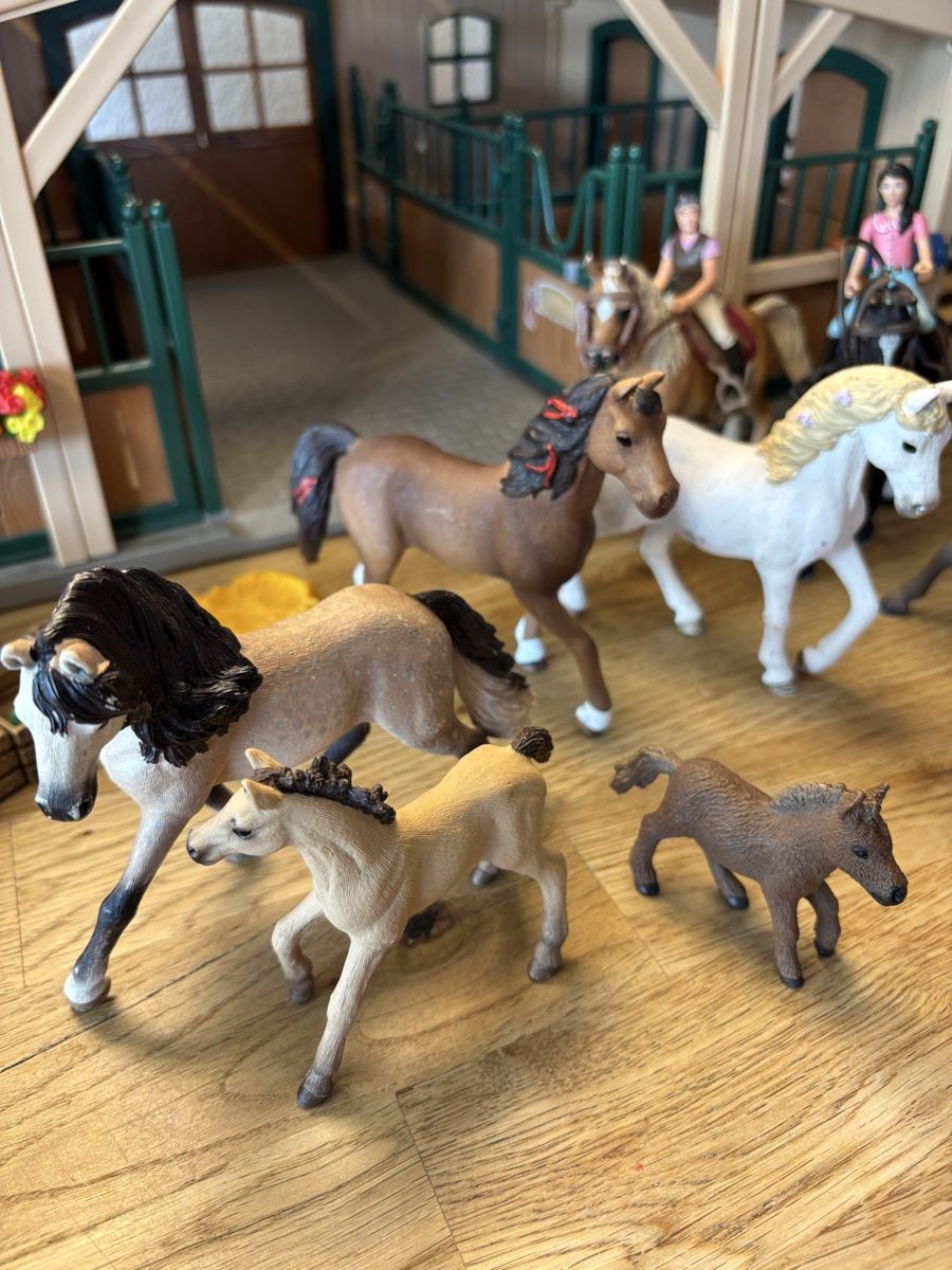 Schleich Spielzeuge: Schleich Pferdestall mit Zubehör  – Gebraucht aus Noflen BE von ManuelaMiro 1