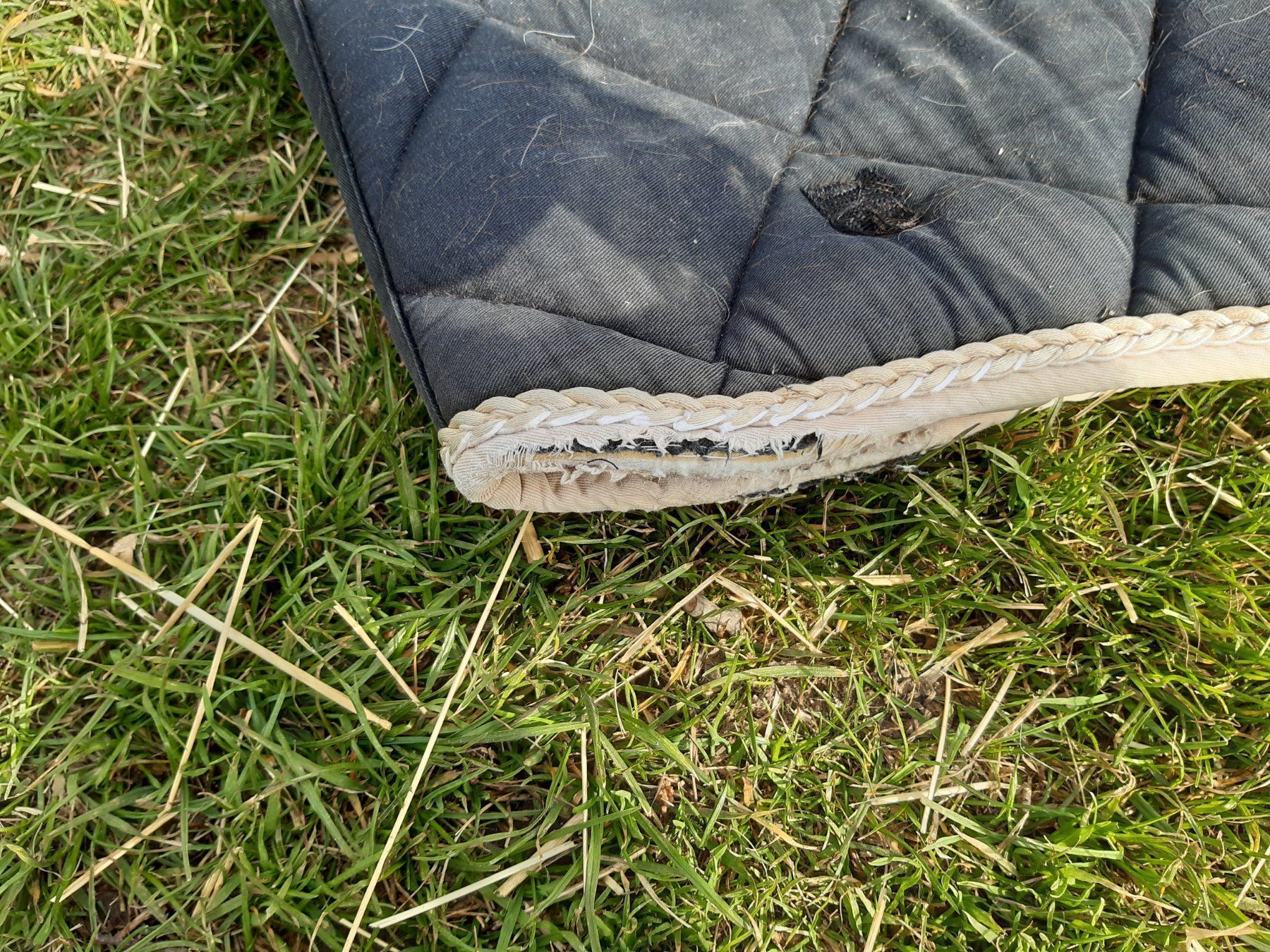 Selle & Accessori: Schabracke – Usato da Nebikon venduto da Haidihooo 1