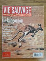Vie sauvage - le kangourou