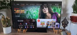 Fernseher 32 Zoll