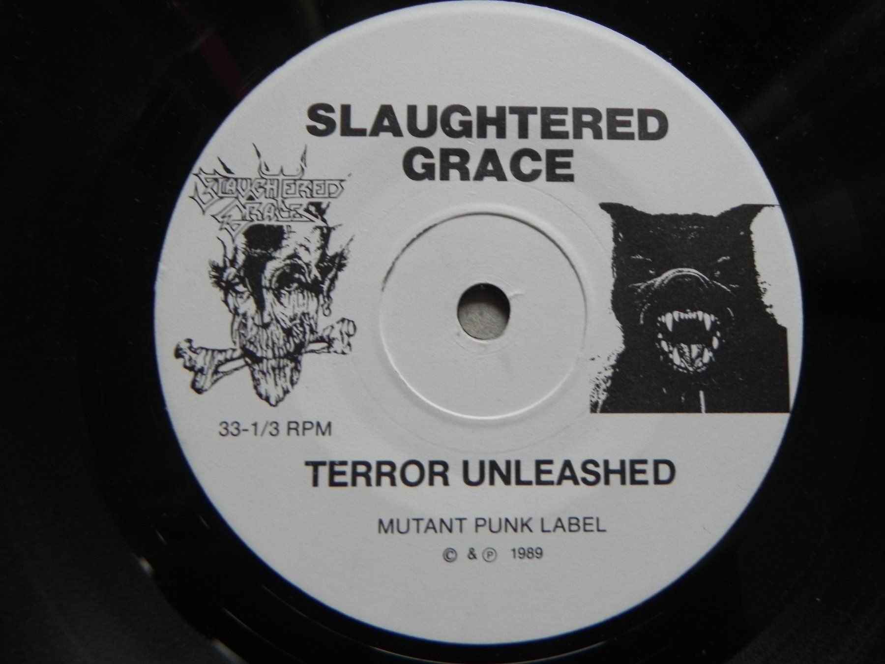 Dischi in vinile: Single US Thrash / Hardcore Band Slavghted Grace 1989 Terror – Usato da Siebnen venduto da krimsie 2